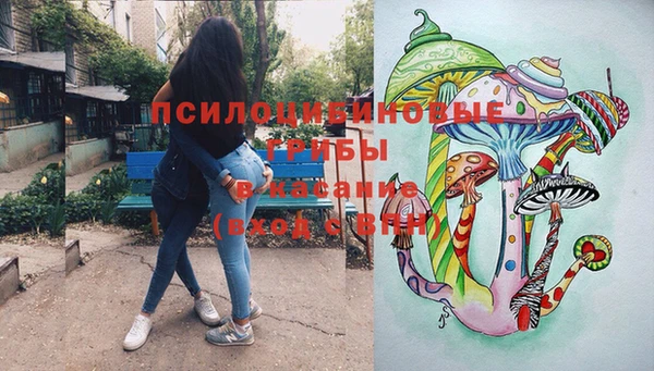 мдпв Абаза